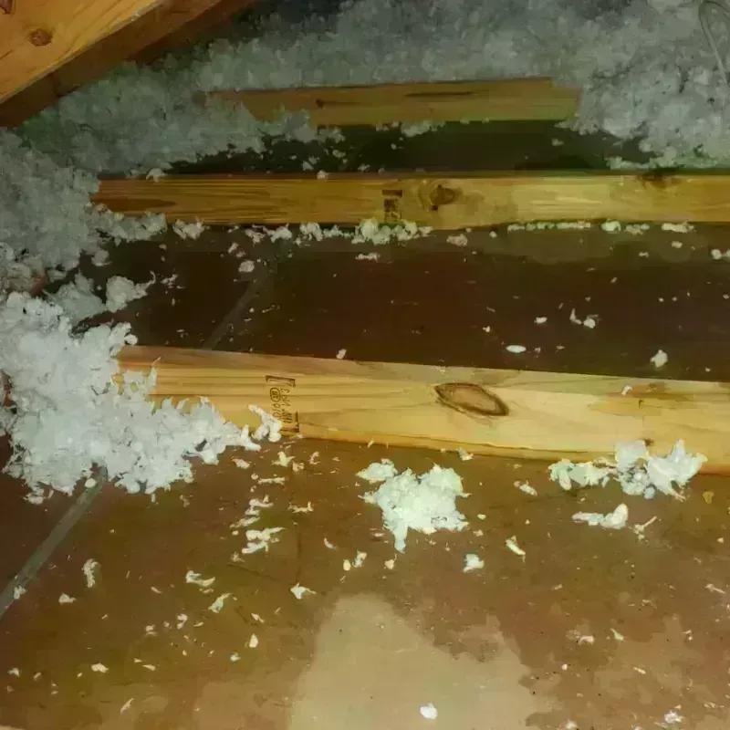 Attic Water Damage in Northeast Ithaca, NY